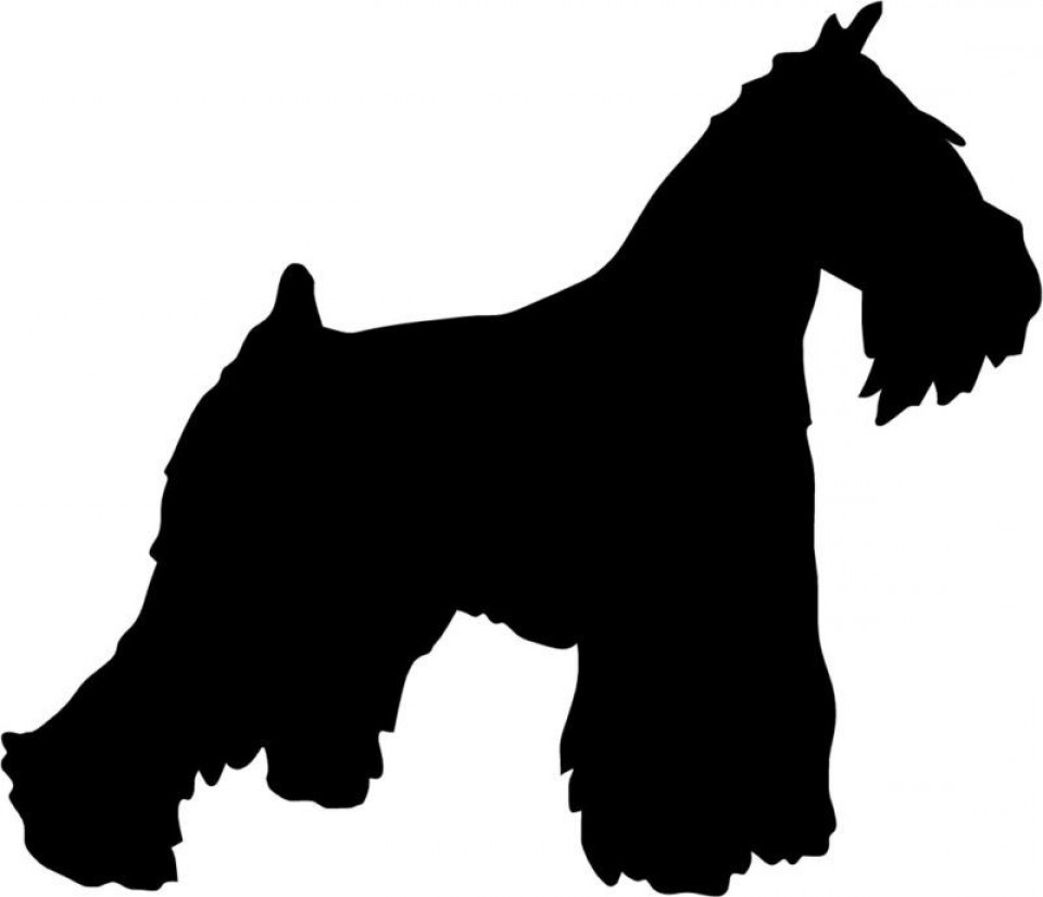 Miniature Schnauzer Clipart Black And White : Schnauzer Miniature Dog ...