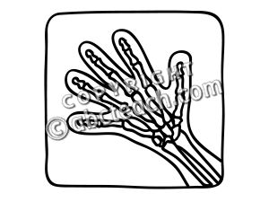 X ray clipart black and white 