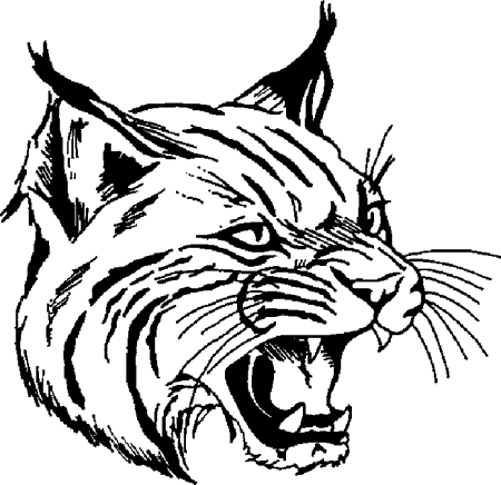 bobcat head clipart black and white