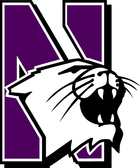 2012 Northwestern Wildcats football team 