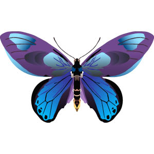 Butterfly Image Free Clip Art - Clip Art Library