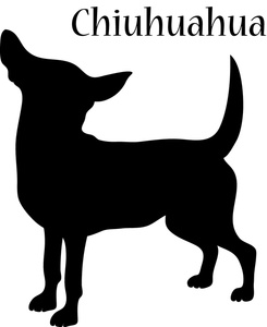 Chihuahua clipart black and white 