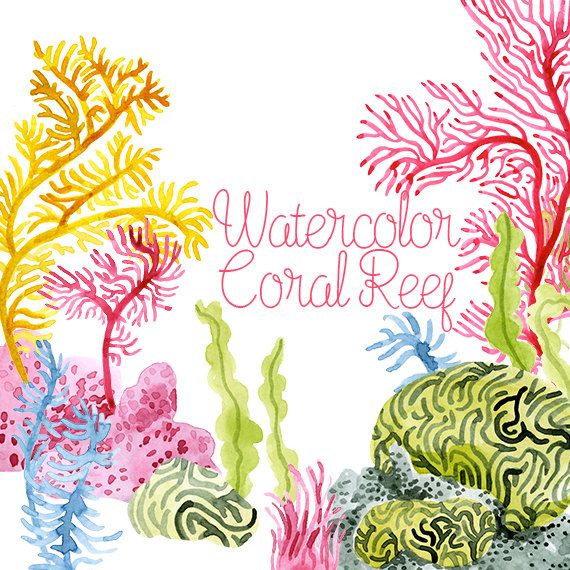 coral reef with sea turtle painting - Clip Art Library