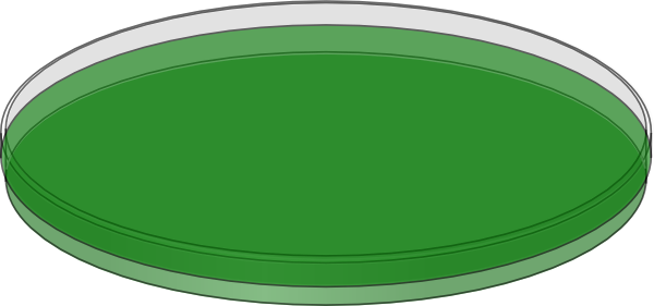 Green Tray Cliparts