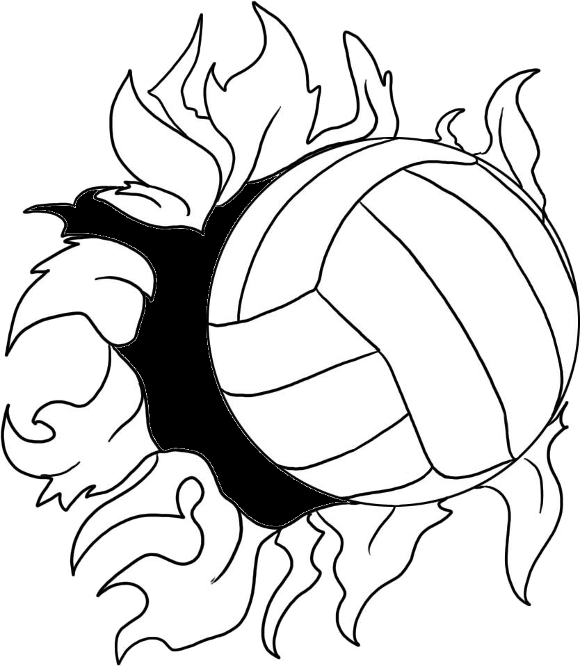 Line art Drawing, volleyball, sport, monochrome, head png | PNGWing