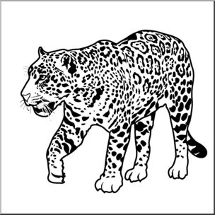 Jaguar cliparts 