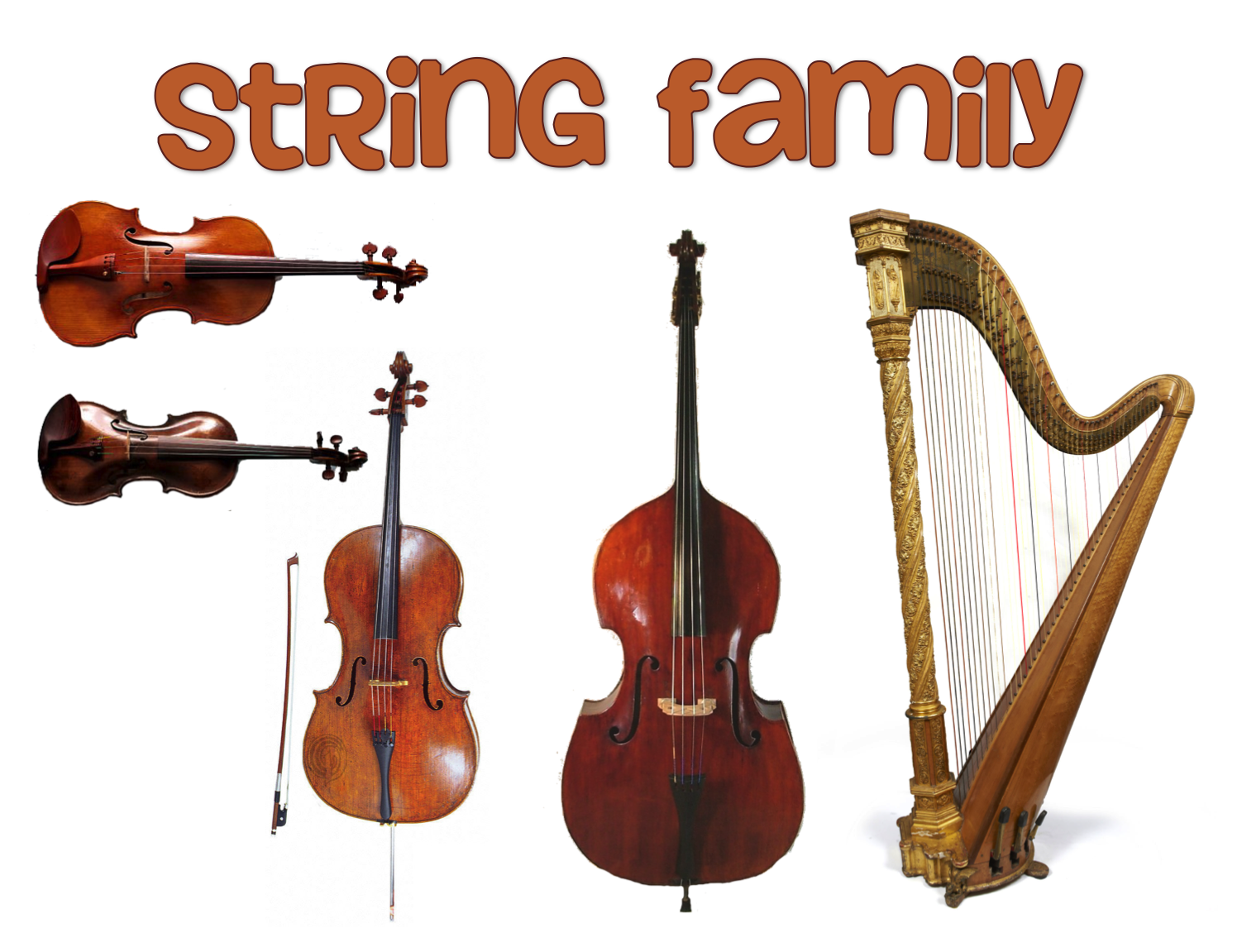Strings Family Instruments - Kenjutaku