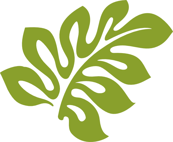 Palm Leaf Clipart