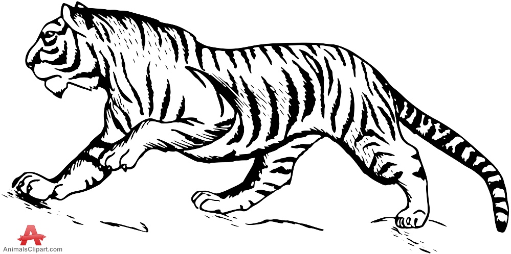 Tiger black and white cute tiger clip art free clipart image 