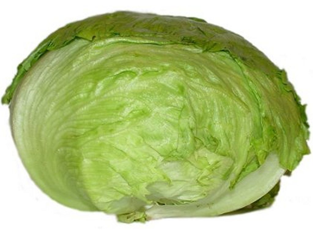 Cute head of lettuce clipart 
