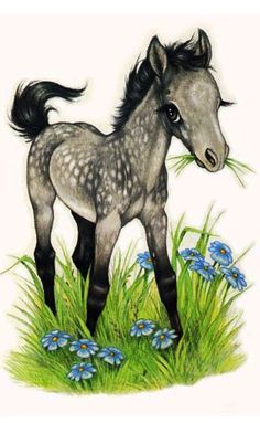 Bay paint horse foal clip art Robin James 