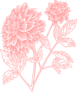 Light Pink Flower Print Clip Art at Clker 