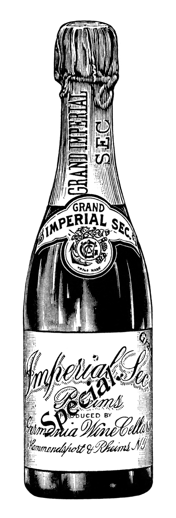 Black and white champagne bottle clipart 