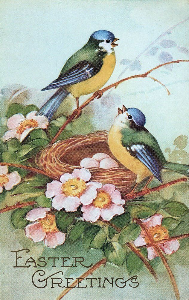 Vintage Birds 