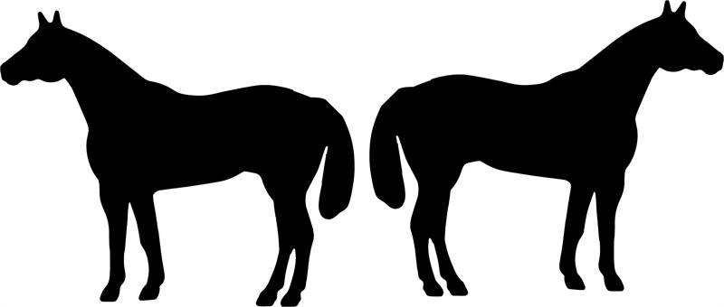 Quarter Horse Face Silhouette 