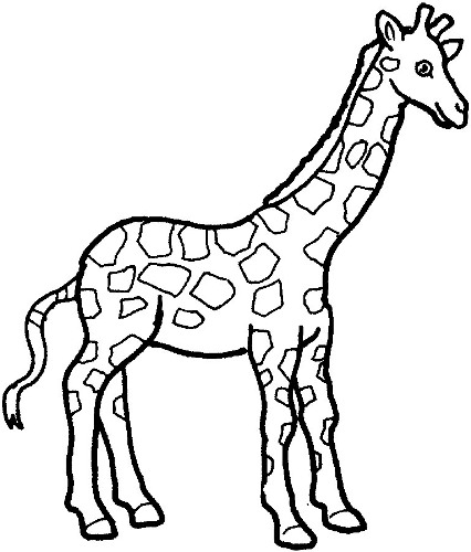 Black and white giraffe clipart 