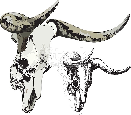 Bull skull clip art 