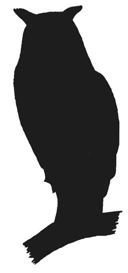 Great horned owl sitting on skull clipart 