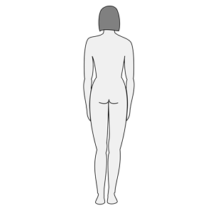 Clipart female body 