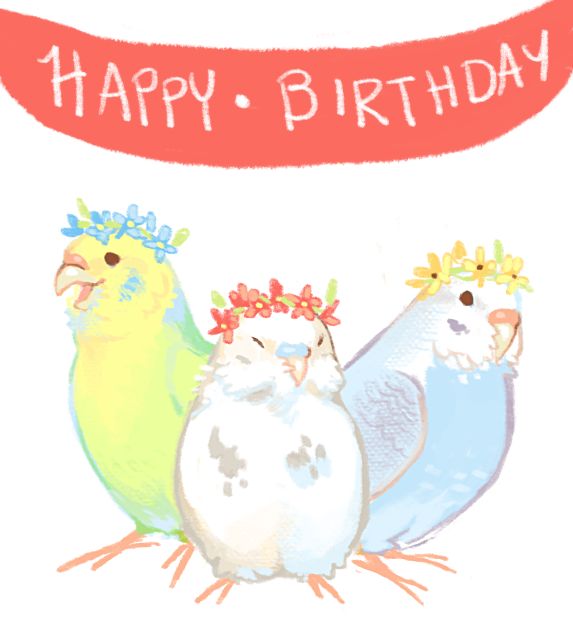 Budgies 
