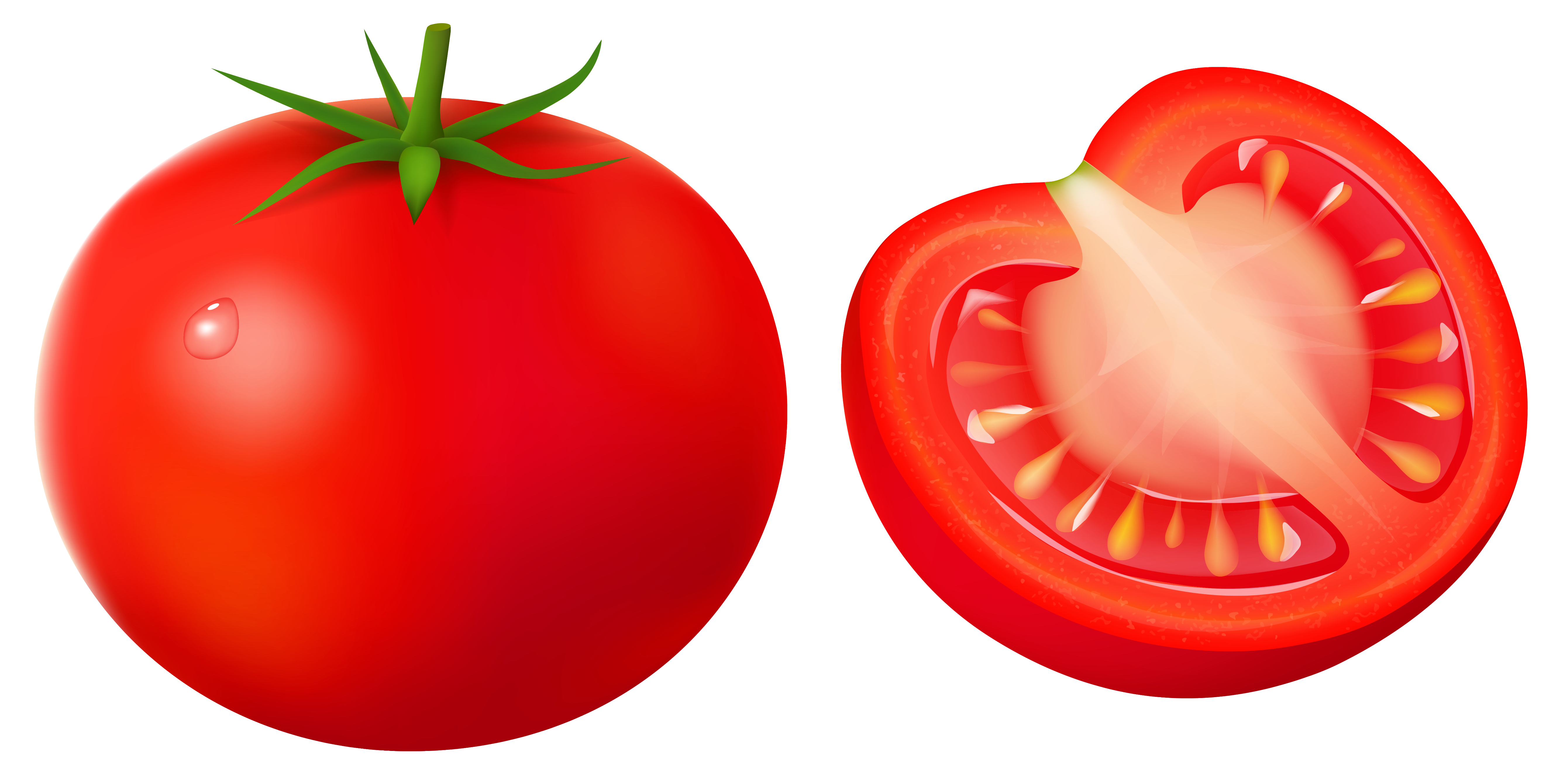 Tomato PNG Vector Clipart Image 