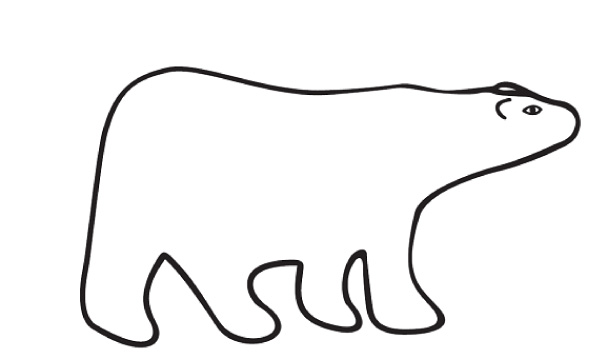 Drawing Bear 