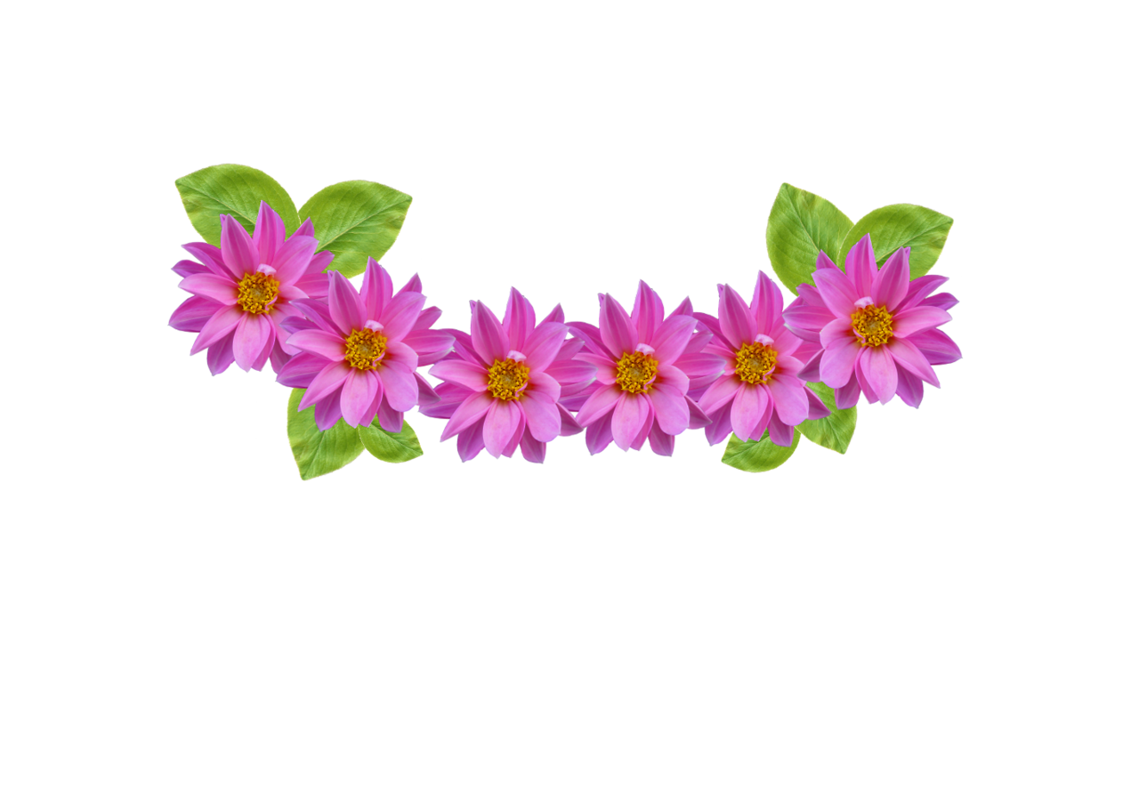 6 Best Image of Flower Crown Clip Art 