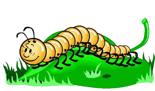 Centipede Clipart 