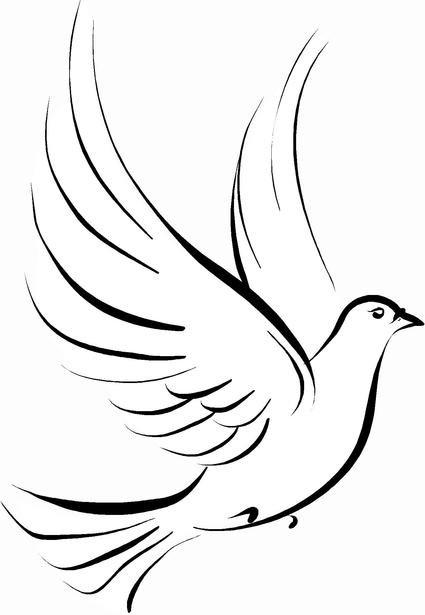 Free Dove Transparent Background, Download Free Dove Transparent Background  png images, Free ClipArts on Clipart Library