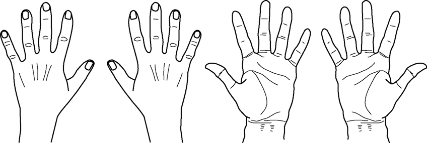 back of hand clipart