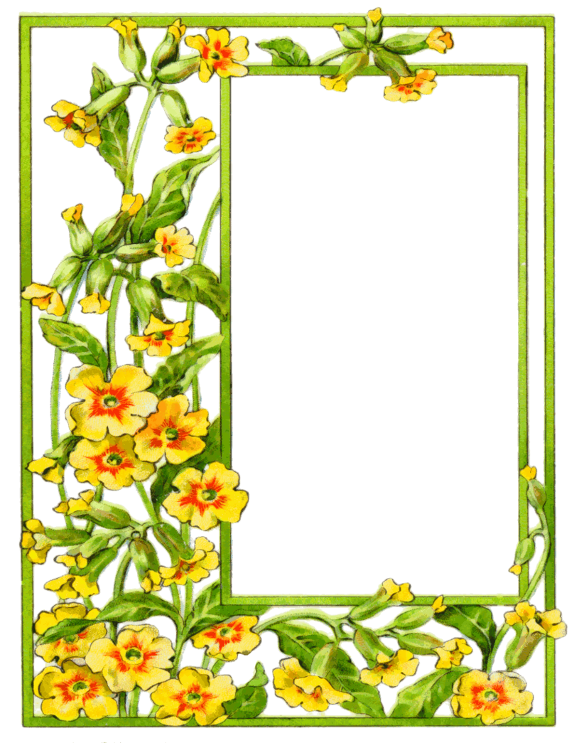 flower frames and borders clip art