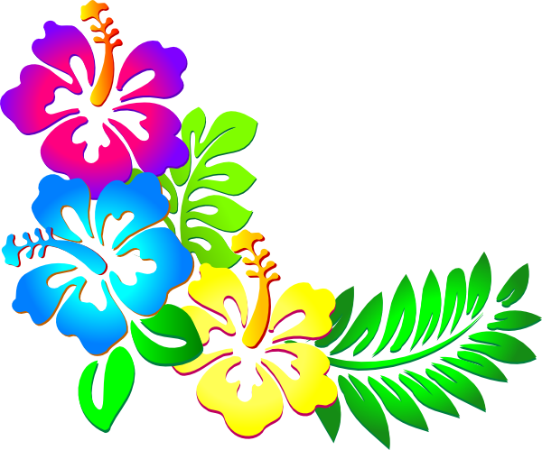 Hibiscus Flower Frame 