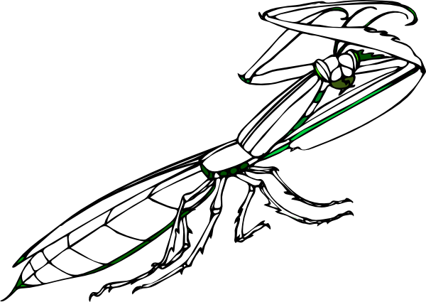 Praying Mantis Clip Art Free 