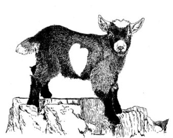 Original of the Pen and Ink Pygmy Goat by TheFruitofourLabors 
