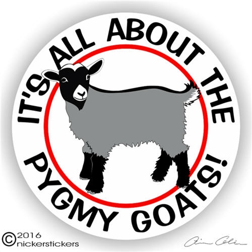 Pygmy Goat Stickers  Decals 
