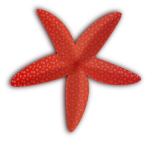 Sea star clip art 