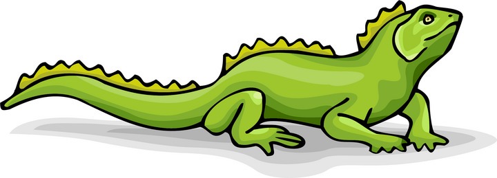 Clip Art Lizard 
