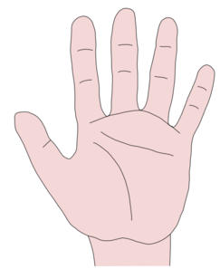 Hand palm clip art – cfxq 