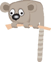 Lemur Cliparts