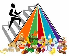 Food Pyramid Clipart 