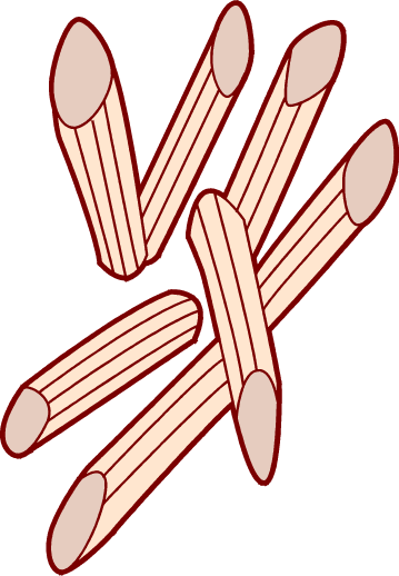 Download Pasta Clip Art ~ Free Clipart of Spaghetti  More 