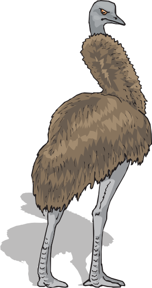 Emu Clip Art 