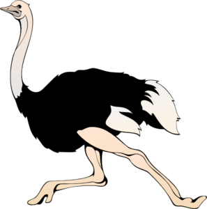 Running Ostrich Clip Art 
