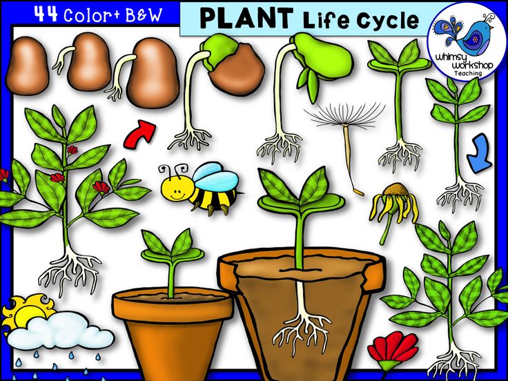 Whimsy Workshop Clipart 
