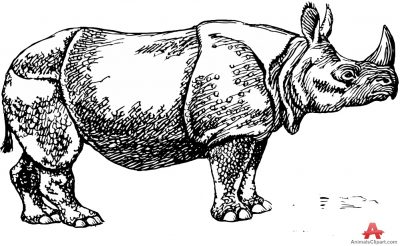 Rhino Animal Cliparts