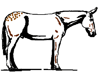 Free Mule Cliparts