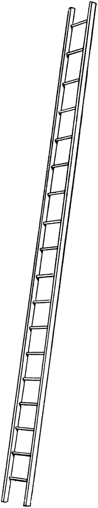 Leaning Ladder 