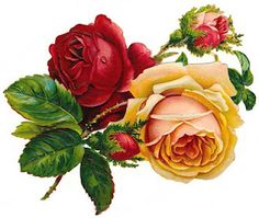 Vintage Floral Clip Art – Clipart Free Download 