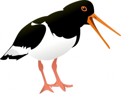 Water Bird Clipart 