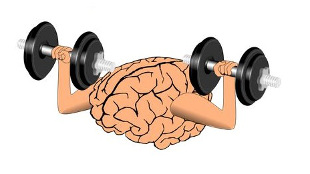 Opinion: Can the Brain Be Trained? 